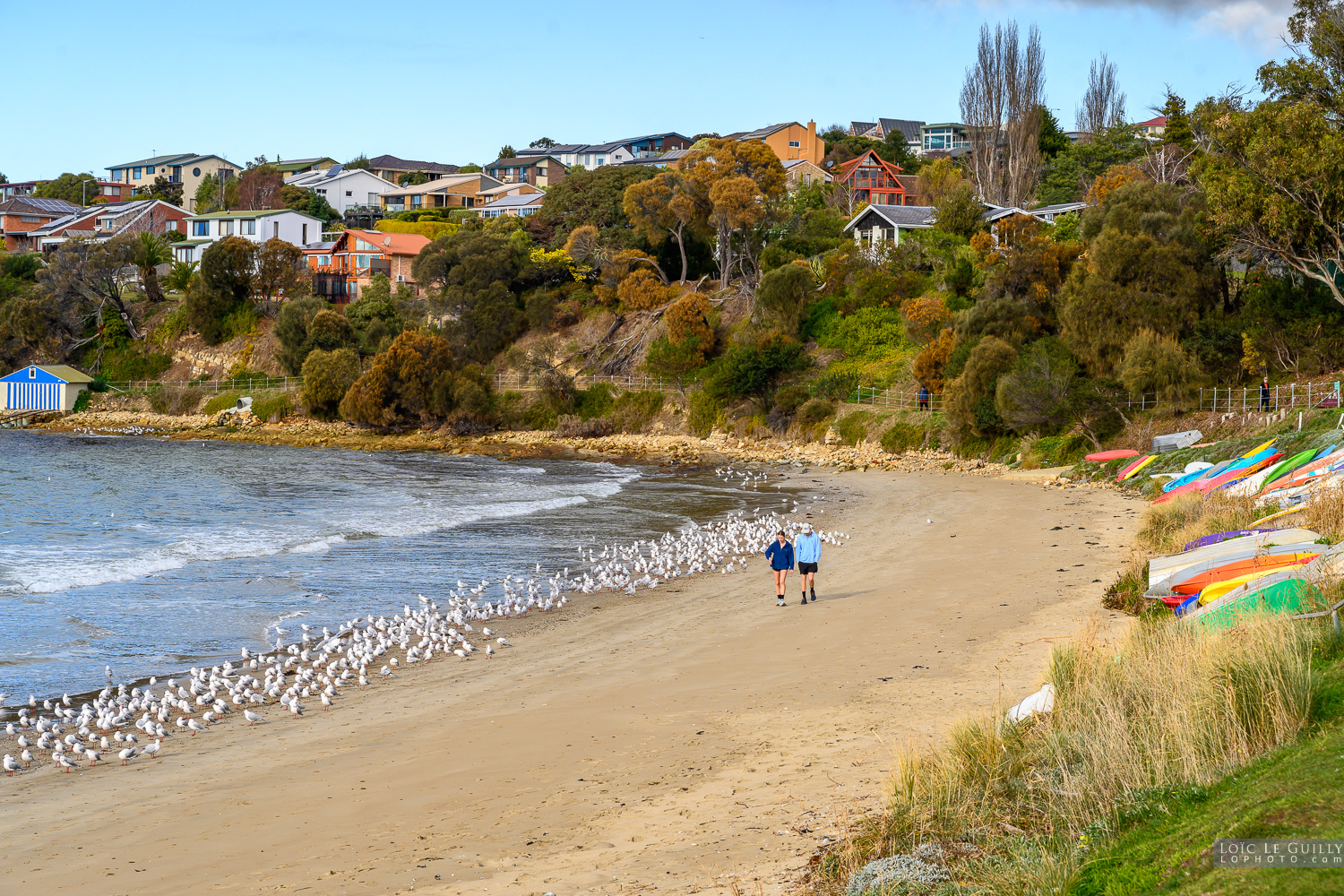 photograph of Blackmans Bay beach